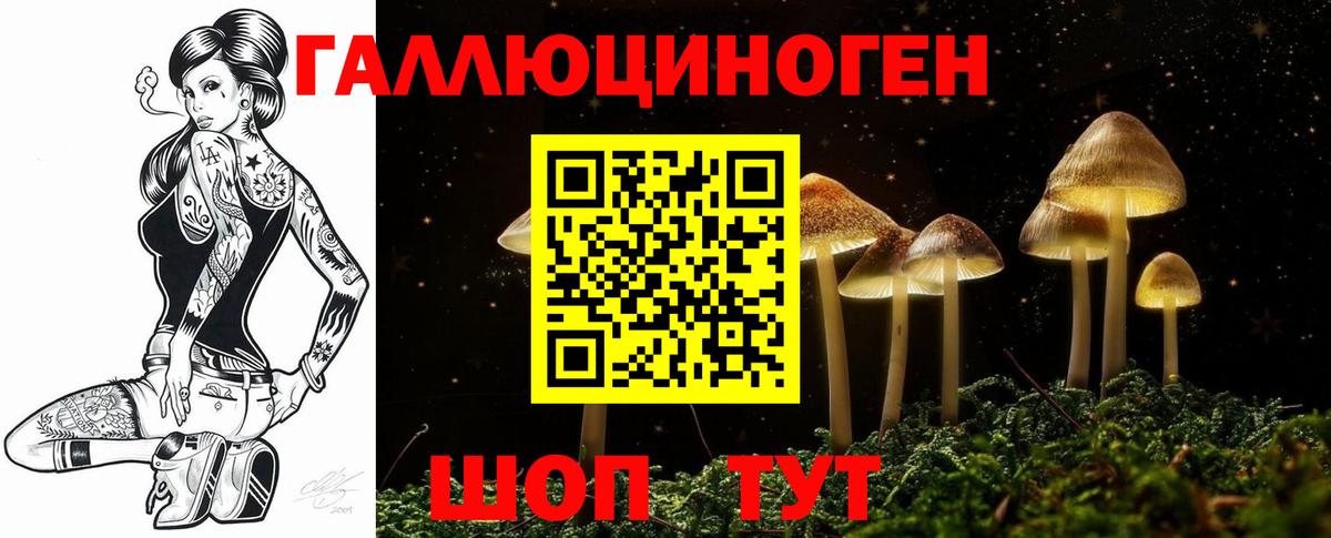 Псилоцибиновые грибы GOLDEN TEACHER Невинномысск